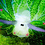 ceres7829